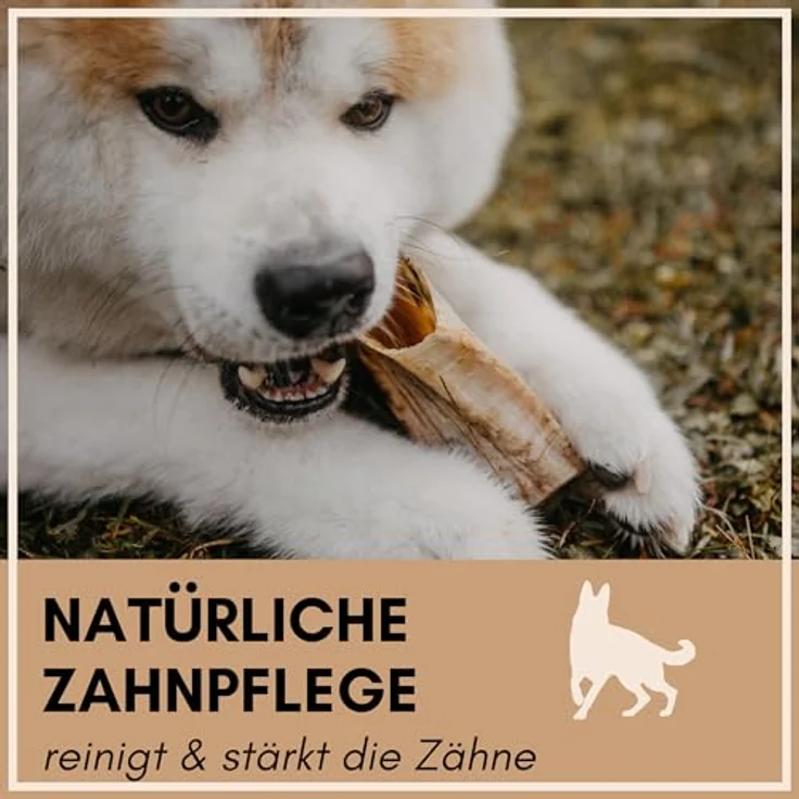 Supravit Kauhorn vom Schaf - Schafhorn XS, Natürliches, splitterfreies Hundespielzeug zur Zahnpflege, 100% naturbelassen – Bild 4