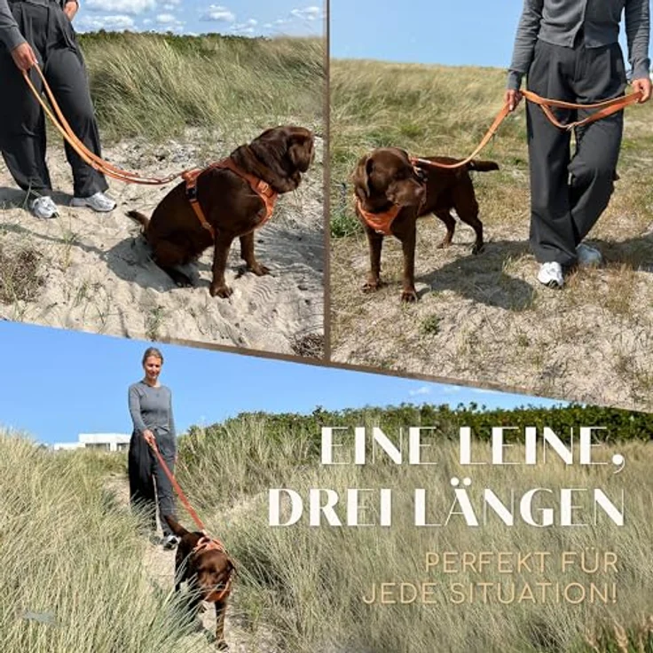 FREUDENTIER Hundeleine Model Clyde, 2m verstellbar, weich gepolstert, robust für mittelgroße & große Hunde, orange, 25mm Breite – Bild 4