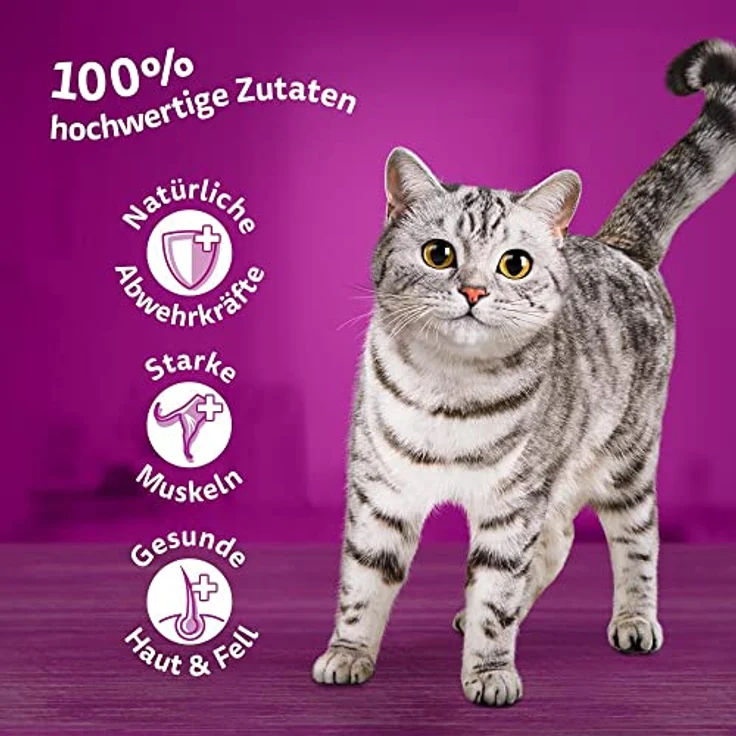 Whiskas Mega Pack 1+ Fisch Auswahl in Gelee, Katzenfutter, 40 x 85g – Bild 2