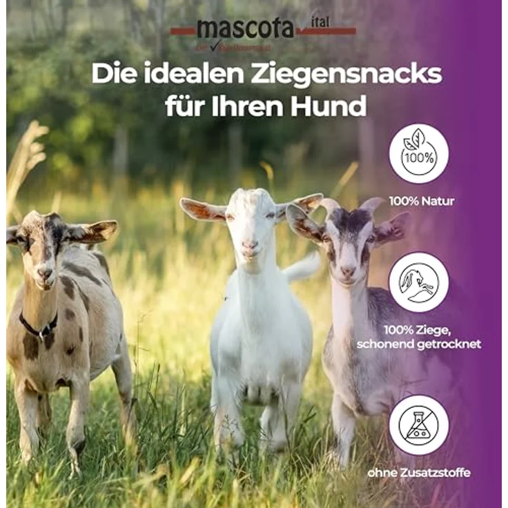 123... Hund dabei! mascota vital Ziegen-Lungenwürfel 200g, 100% natürliche, schonend getrocknete Ziegenlunge, kalorienarmer Trainingssnack, ideal für ernährungssensible Hunde, fördert Zahngesundheit – Bild 4