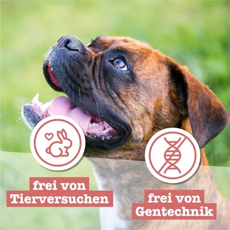 Chewies Goodies Mini Lamm, 125g Hundesnack für anspruchsvolle Hunde, geeignet für alle Lebensphasen – Bild 7