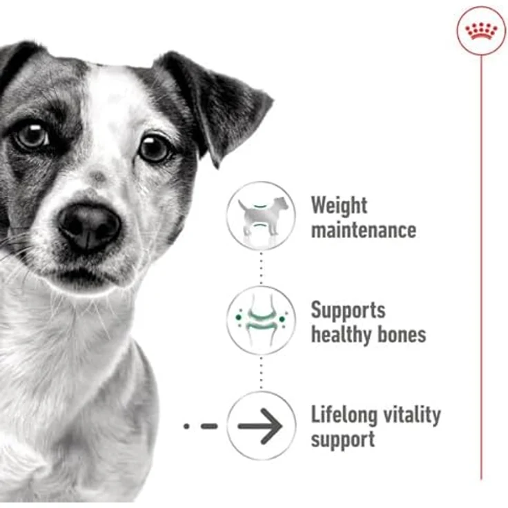 Royal Canin Mini Ageing 8+, 12 x 195 g, Alleinfuttermittel für kleine Senior Hunde bis 10 kg, Unterstützung für Gesundheit und Vitalität, nährstoffreiche Rezeptur mit Vitaminen und EPA & DHA – Bild 3