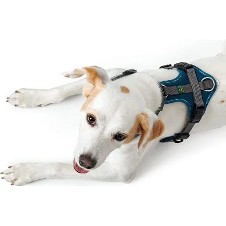 Hunter Hunde-Geschirr Maldon petrol-grau XS – Bild 6