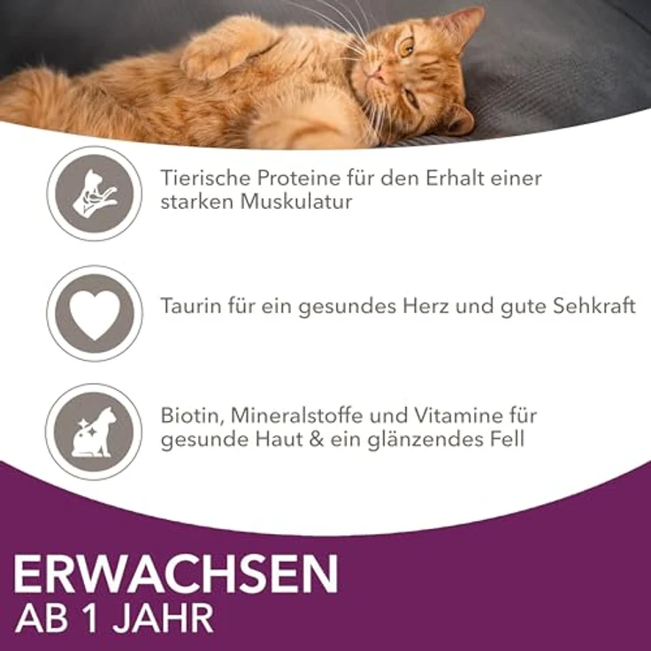 IAMS Delights Land & Sea Collection Katzenfutter Nass, Multipack mit 12 x 85 g Fleisch und Fisch in Gelee für Katzen ab 1 Jahr, ausgewogenes Alleinfutter – Bild 4