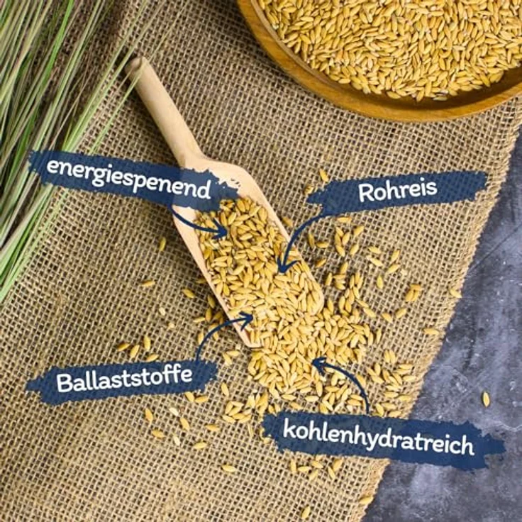 Lyra Pet® Paddyreis 10 kg, Reich an Ballaststoffen, Vitaminen & Mineralien, Ungeschältes Ergänzungsfutter für Wildvögel & Kleinnager, Nährstoffreiches Vogelfutter für Sommer & Winter – Bild 2