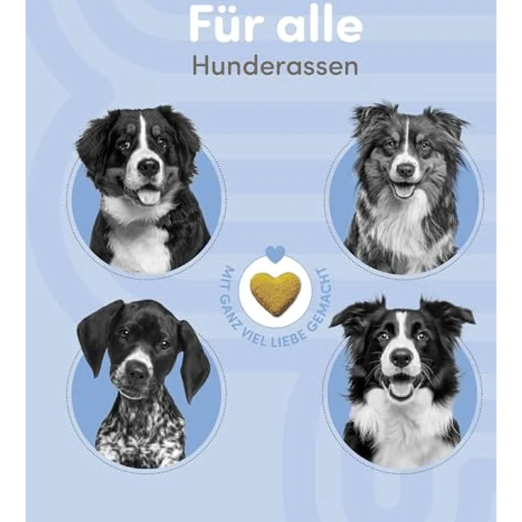 happycor® Flora Flow Darm-Kur für Hunde, 120 Funktionssnacks mit Ballaststoff-Komplex, Curcumin & Beta-Glucan, gegen Blähungen & für festen Kot, 240g – Bild 3