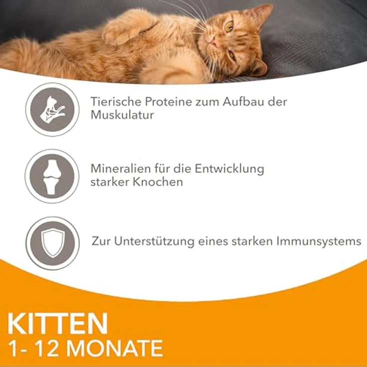 IAMS Delights Kitten Nassfutter, Multipack mit Huhn in Sauce, hochwertiges Futter für Kätzchen 1-12 Monate, 12 x 85g – Bild 4