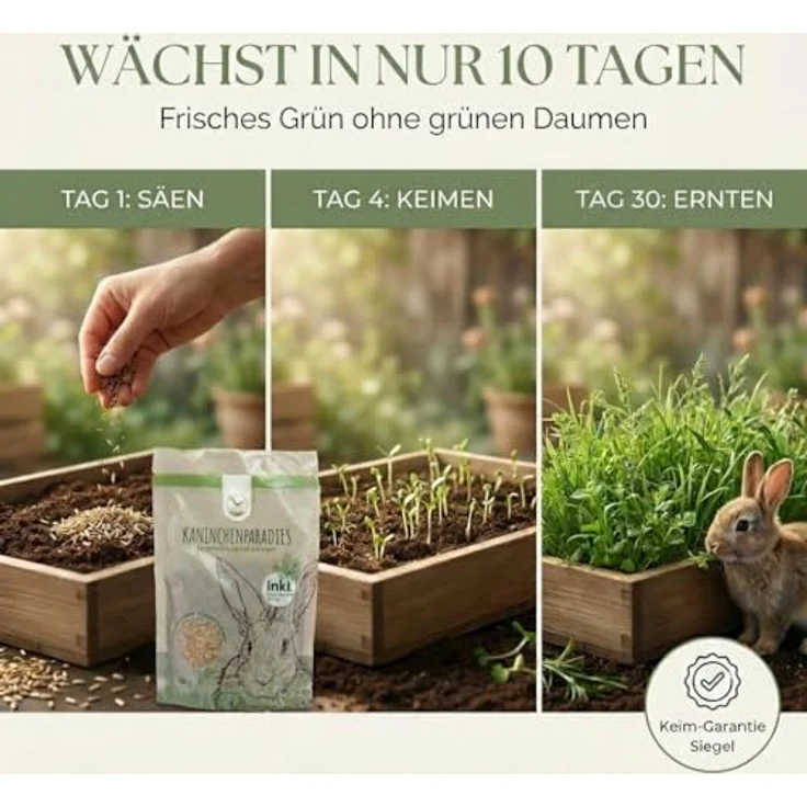 HappySeed Kaninchenwiese Samen, 100g Saatgut für vitaminreiche Ernährung von Kaninchen und Kleintieren, Pflegeleicht und ganzjährig anbauend – Bild 4