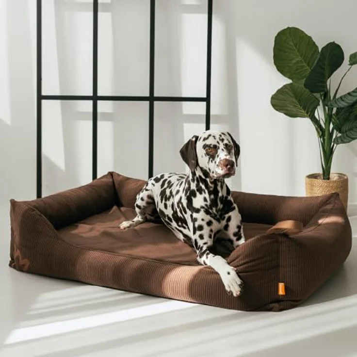 Rudelkönig Orthopädisches Hundebett Koye für große Hunde, Waschbar, mit viskoelastischem Memory Foam und stabilen Seitenwänden – Bild 2