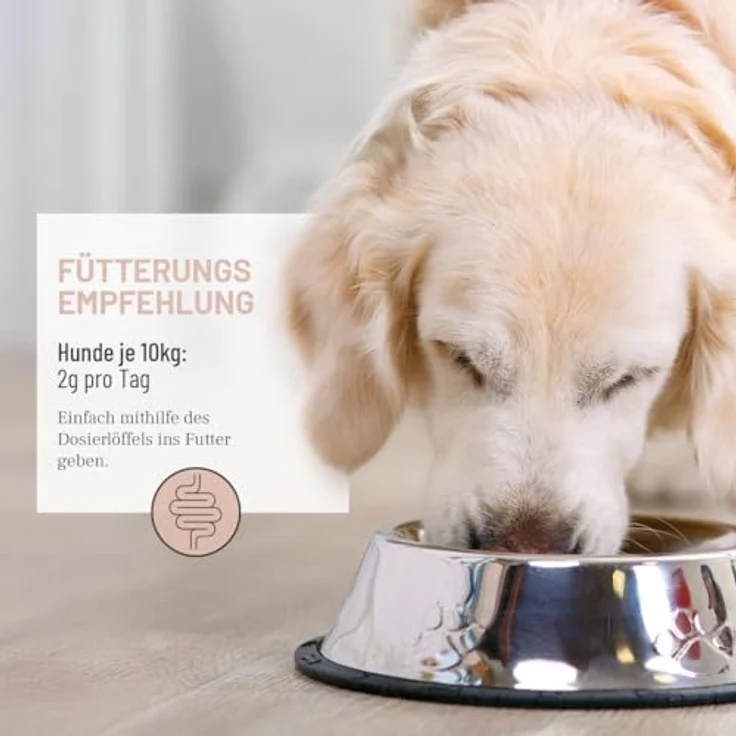 ReaVET Darm Prebiotic für Hunde 150g - Präbiotikum zur Unterstützung der Darmflora & Verdauung - 100% naturrrein & getreidefrei, für alle Hunderassen – Bild 5