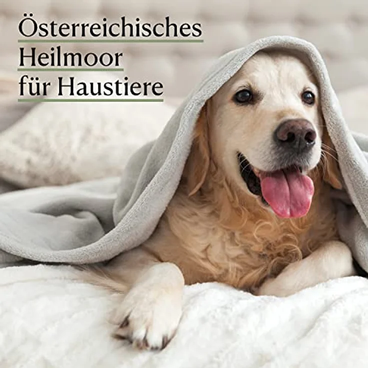 CBDVITAL Premium Heilmoor für Hunde, tierärztlich geprüft, 500 g, auch für Katzen geeignet, zur Unterstützung von Verdauung, Immunsystem & Fellwechsel, 100% natürliche Inhaltsstoffe – Bild 3