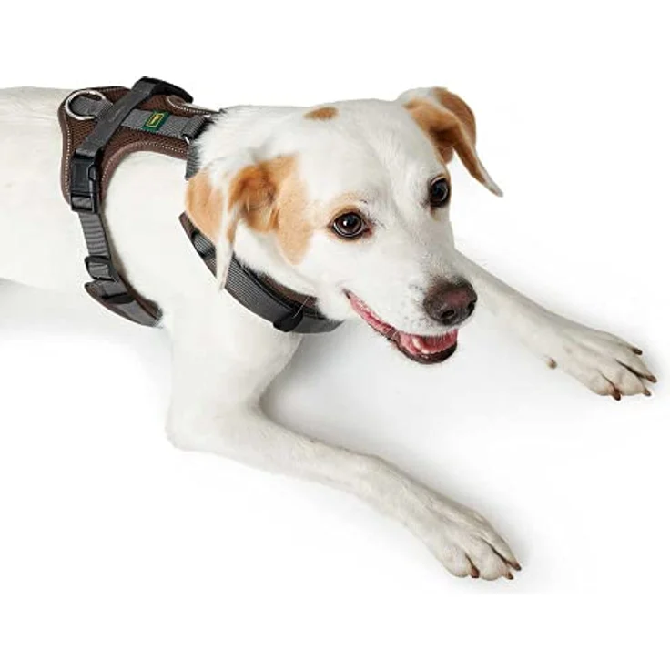 Hunter Hunde-Geschirr Maldon braun-grau XS – Bild 6