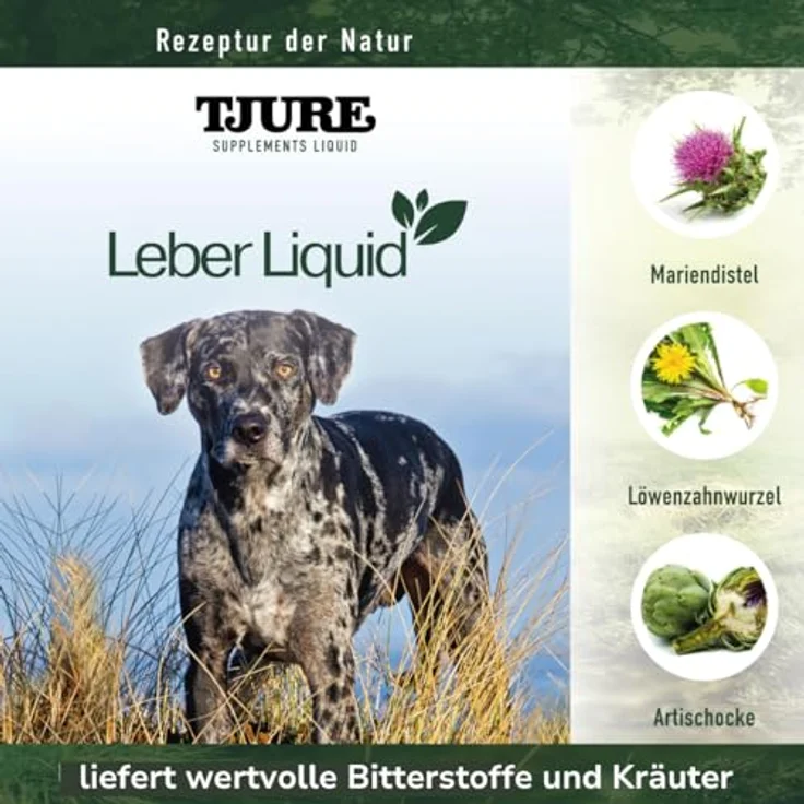 TJURE Leber Liquid für Hunde | 500 ml | Mit Mariendistel, Reishi & Löwenzahn | Natürliche Leberunterstützung durch Bitterstoffe & Kräuter | Hochkonzentriertes Kräuterliquid von Tierärzten entwickelt – Bild 3
