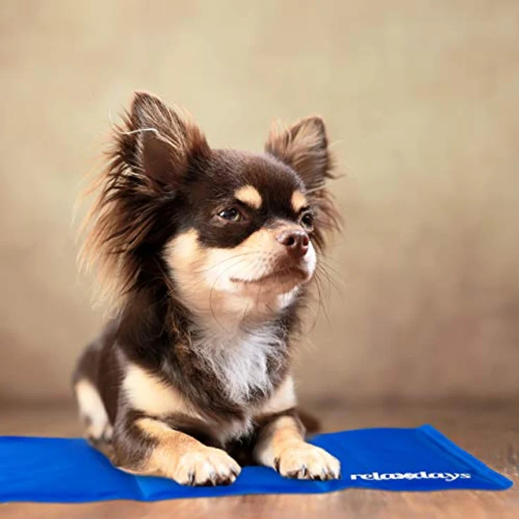 relaxdays Hundematte Kühlmatte Hund blau, 20 x 35 cm, selbstkühlend, strapazierfähig – Bild 3