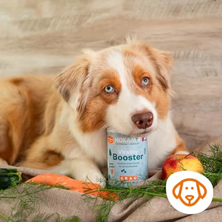 GRAU Hokamix Vitality Booster, Ergänzungsfuttermittel für Hunde, 2,5 kg, natürliche Kräuter-Pulvermischung zur Unterstützung von Stoffwechsel und Verdauung – Bild 2