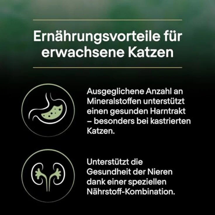 Pro Plan Liveclear Sterilised Adult Katzenfutter mit Truthahn, 7 kg - Reduziert Allergene, fördert gesunde Nieren – Bild 4
