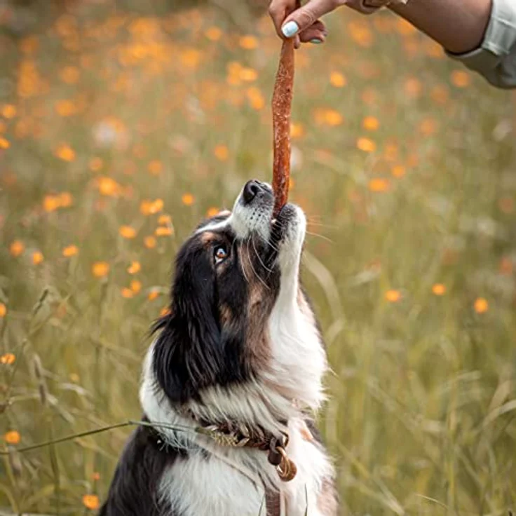 Bellfor Hirsch-Sehne, Kauartikel für Hunde, 200 g, Getreidefreies Leckerli für Welpen und Senioren, Unterstützt Zahnpflege, 100% natürlich – Bild 5