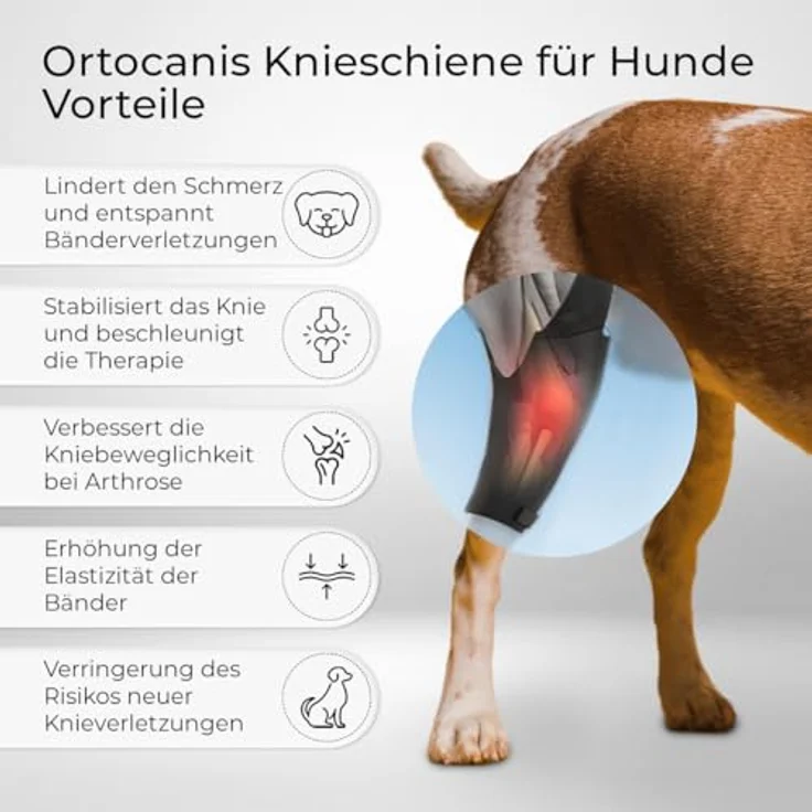 Ortocanis Kniebandage für Hunde, linkes Hinterbein, Neopren ARD, Unterstützung bei Kreuzbandriss, Bänderverletzungen, Patellaluxation, Osteoarthritis, Größe X-Large (14,2-16") – Bild 2