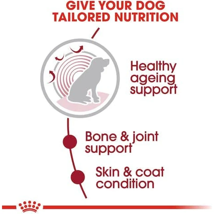 Royal Canin SHN Medium Ageing Gravy, Hunde-Nassfutter für mittelgroße Senior Hunde (11-25 kg), 10x140g – Bild 7