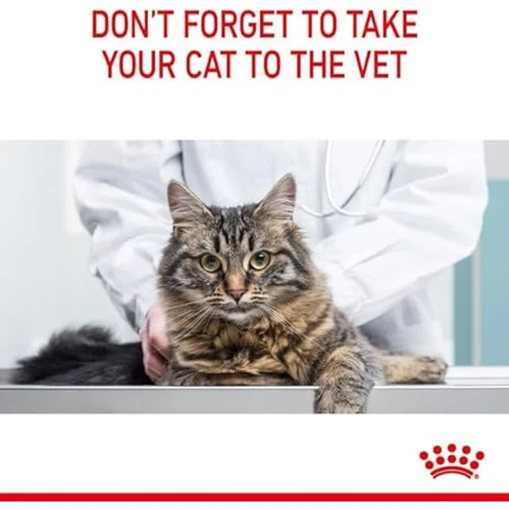 Royal Canin FCN Light Weight Care Jelly, Katzen-Nassfutter zur Reduzierung der Kalorienaufnahme, 12x85g – Bild 8