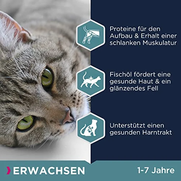Eukanuba Katzenfutter trocken Huhn, Premium Trockenfutter mit hohem Fleischanteil für erwachsene Katzen ab 1 Jahr, 2 kg – Bild 4
