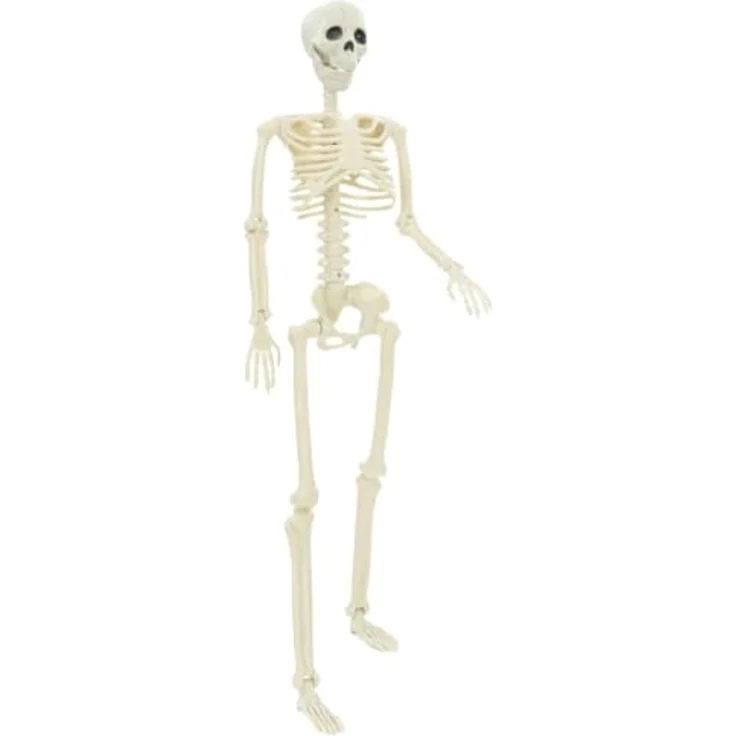 vidaXL Halloween-Skelett 2er Set, 85 cm, weiße robuste Deko-Figur für Innen- und Außenbereich, gotische Halloween-Deko für Partys und Saison-Dekor – Bild 4