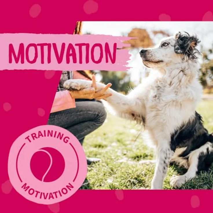 Dokas Glutenfreier Premium Snack, 200 g Hühnerbrustfilet in Stückchen, ideal zum Training für Hunde – Bild 5