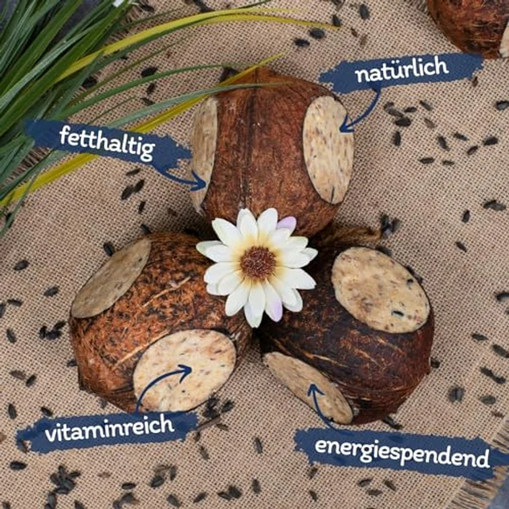 Lyra Pet® 3 x 4 Ganze Kokosnüsse mit 3 Löchern, Fettreiches Wildvogelfutter mit Nährstoffreicher Füllung, Energielieferant für das ganze Jahr, Naturprodukt – Bild 2