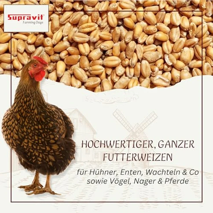 Supravit Weizen Futterweizen 5kg, regionales Futtergetreide, energie- und nährstoffreich, staubfrei und schonend verarbeitet für Tauben, Vögel, Wildvögel, Nager & Geflügel – Bild 2