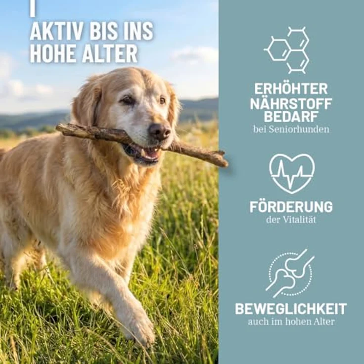 REAVET Senior Complete 250g, Hundefutter zur Unterstützung der Vitalität und Beweglichkeit von Seniorhunden, mit Taurin und Pflanzenstoffen – Bild 2