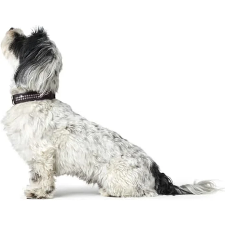 Hunter Hunde-Halsband Softie Deluxe schwarz S – Bild 4
