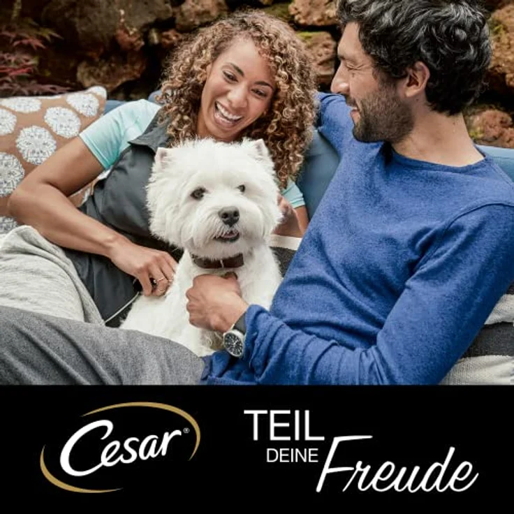 Cesar Megapack Schale 24 x 150 g, Classic Terrine, 100% ausgewogenes Nassfutter für Hunde mit natürlichen Zutaten – Bild 7