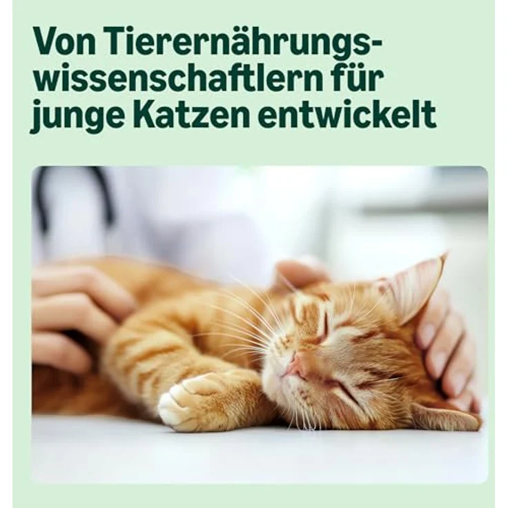 by Amazon Katzenfutter, nass für junge Katzen, gemischte Auswahl in Gelee (3 x Lachs, 3 x Kalb, 3 x Geflügel, 3 x Truthahn), 1.2kg (12 Beutel à 100g) – Bild 5