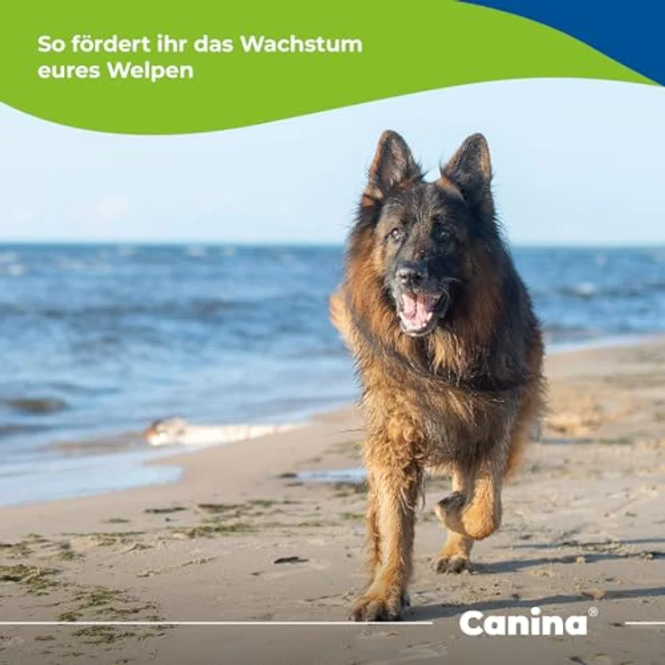 Canina Welpenkalk Tabletten, Mineralfutter für Welpen und Junghunde, 350g mit optimalem Calcium-Phosphor-Verhältnis – Bild 5