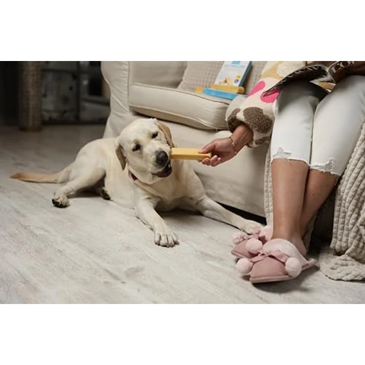 WOW BITES Premium Kaukäse für Hunde, Extra Klein Käsestangen - Langer Kauspaß aus natürlicher Milch, 100 g, 4er Pack, XS, geruchlos, proteinreich, gesund – Bild 5