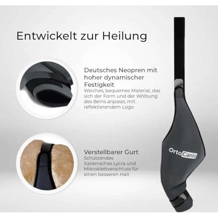 Ortocanis Kniebandage für Hunde, linkes Hinterbein, Neopren ARD, Unterstützung bei Kreuzbandriss, Bänderverletzungen, Patellaluxation, Osteoarthritis, Größe X-Large (14,2-16") – Bild 5