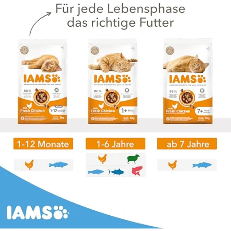 IAMS Senior Katzenfutter trocken mit Fisch, 3 kg - Ausgewogenes Futter für ältere Katzen ab 7 Jahren, reich an tierischen Proteinen, weizenfrei, unterstützt Gesunde Gelenke und starkes Immunsystem – Bild 4
