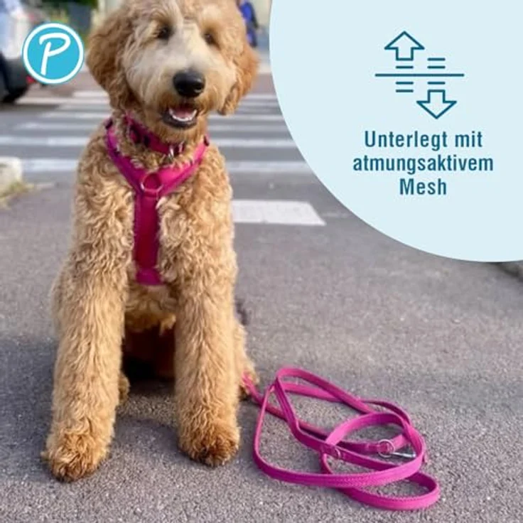 Petlando Hundeleine 2m Mesh weich gepolstert, Fuchsia, ideal für kleine Hunderassen, 230x1,5cm – Bild 3