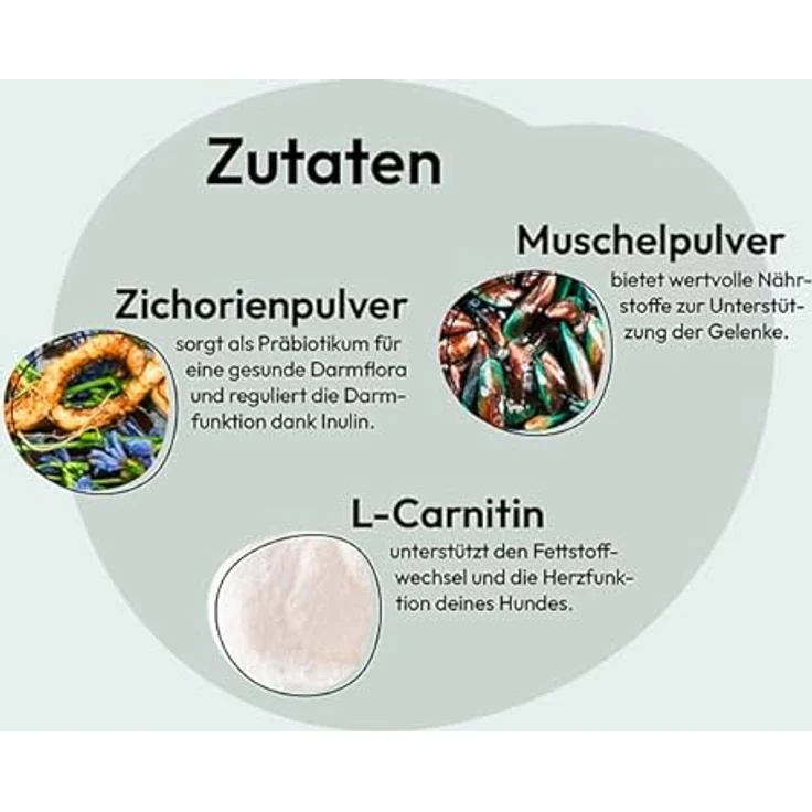 GRAU Original Trockenfutter für Hunde Senior, glutenfrei, mit Geflügel, 1 x 12 kg für empfindliche ältere Hunde – Bild 5