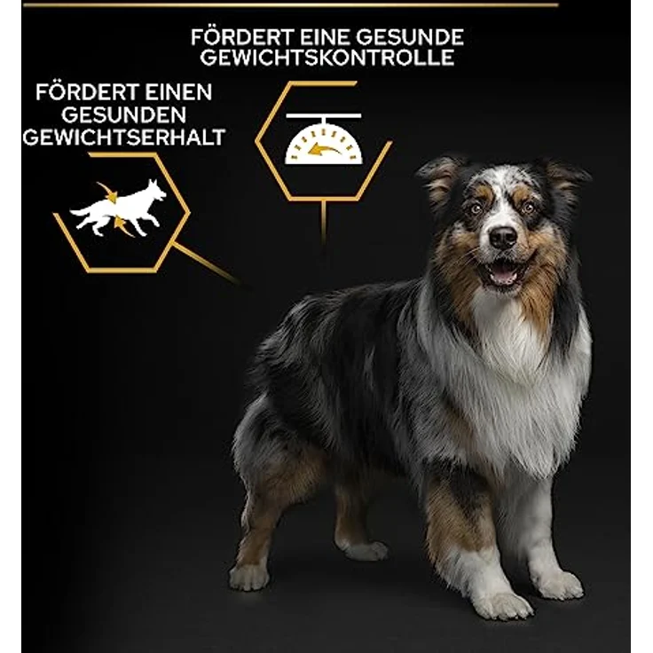 Pro Plan All Size Adult Light / Sterilised, Hundefutter trocken, reich an Huhn, 14 kg Beutel für gesunden Gewichtsverlust und Gewichtserhaltung – Bild 4
