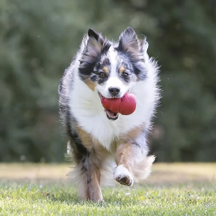 KONG Classic, Füllbares Hundespielzeug aus strapazierfähigem Naturkautschuk, Apportier- und Kauspielzeug für mittelgroße Hunde, rot – Bild 2