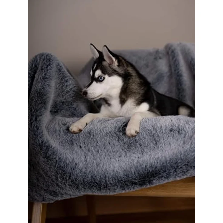 TrendPet Yuma Felldecke, Kuschelige Premium Hundedecke für Hunde und Katzen, XXL Sofadecke 170 x 100 cm – Bild 5