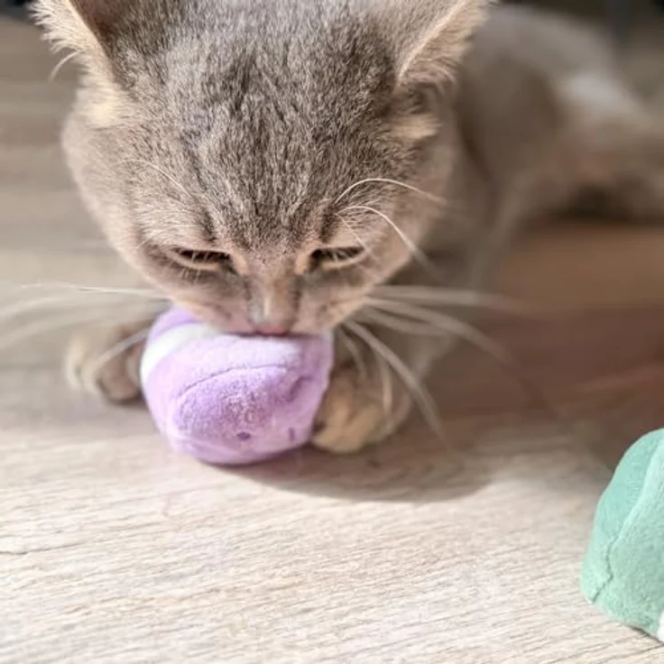 Aumüller Katzenspielzeug Macarons 3er Set, Plüsch mit Katzenminze und Silver Vine, bunt – Bild 7