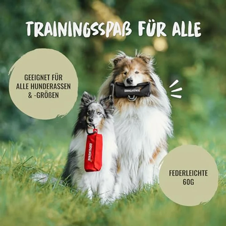 Rudelkönig Futterbeutel, Snackbeutel für Hundetraining mit Reißverschluss, schwarz – ideal für Rückruftraining und Apportieren – Bild 6
