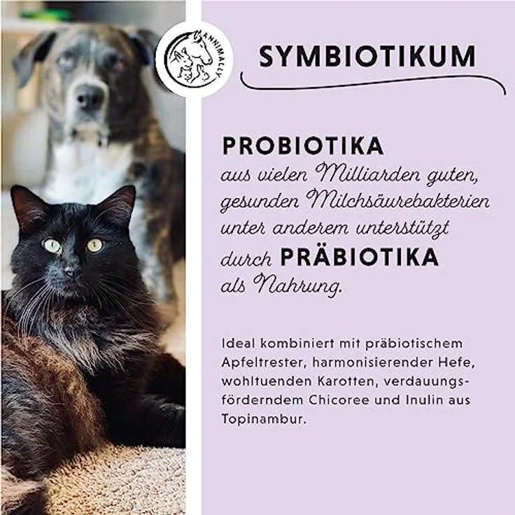 Annimally Hunde & Katzen Darmkur Pulver 250g, Synbiotikum zur Darmsanierung mit Probiotika und Präbiotika, ideal bei Durchfall und nach Wurmkur – Bild 4