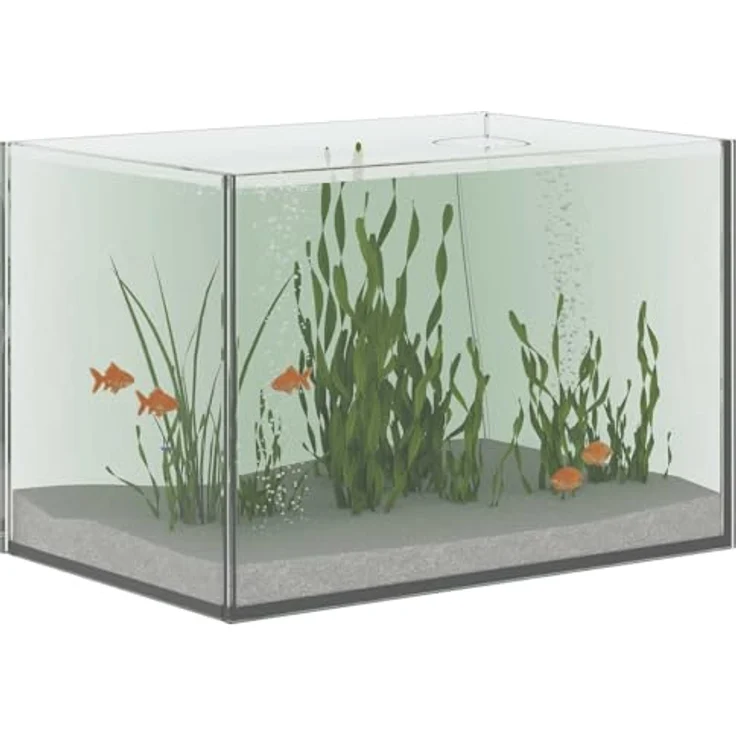 vidaXL Aquarium mit Speicher, 30 x 20 x 20 cm, modernes rechteckiges Design aus transparentem Glas, pflegeleicht und stoßfest – Bild 1