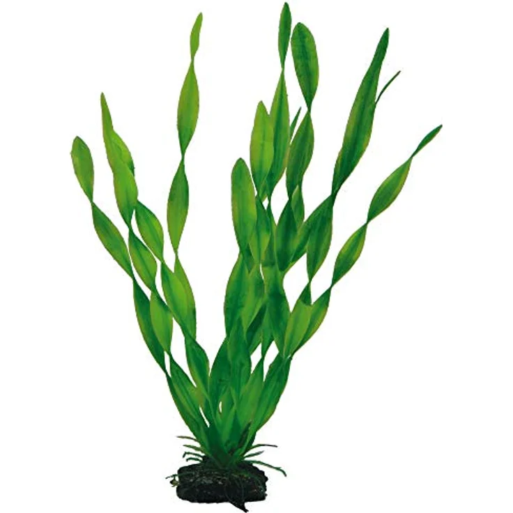 Dohse Plantasy Set 6, Aquarium Dekoration mit vielfältigen Pflanzen-Designs – Bild 4