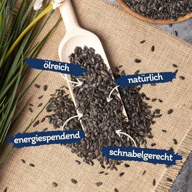 Lyra Pet® Sonnenblumenkerne Schwarz, 10 kg premium Vogelfutter, ölhaltiger Energiespender für Wildvögel, ideal für ganzjähriges Füttern – Bild 2
