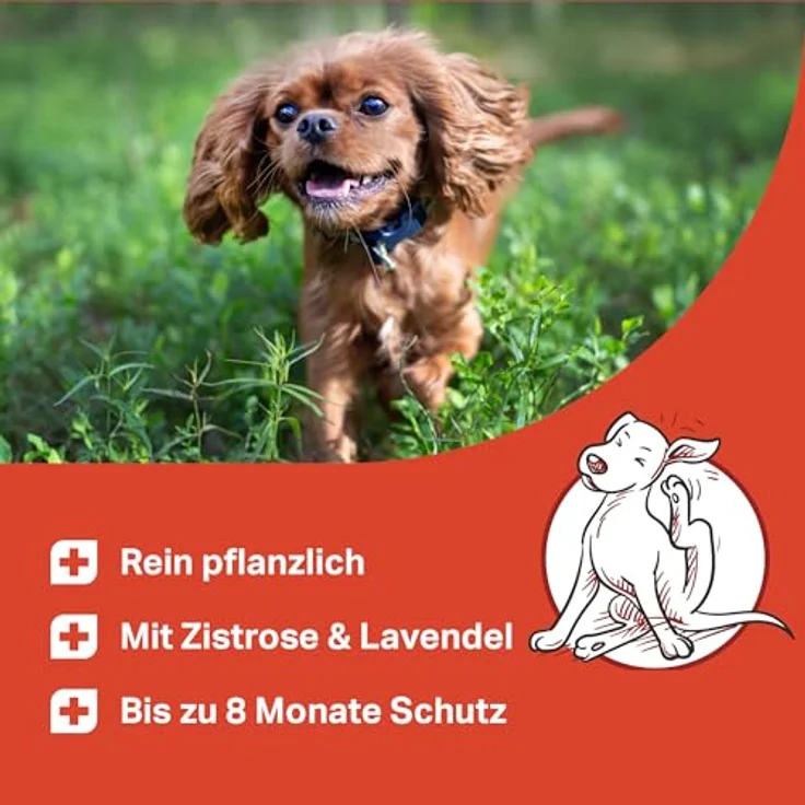MEDIDOG Natürliches Zeckenhalsband, 8 Monate Schutz vor Zecken, Flöhen und Milben, für kleine Hunde & Katzen, mit Zistrose- & Lavendelöl, 38 x 1,5 cm, wasserfest und chemiefrei – Bild 2