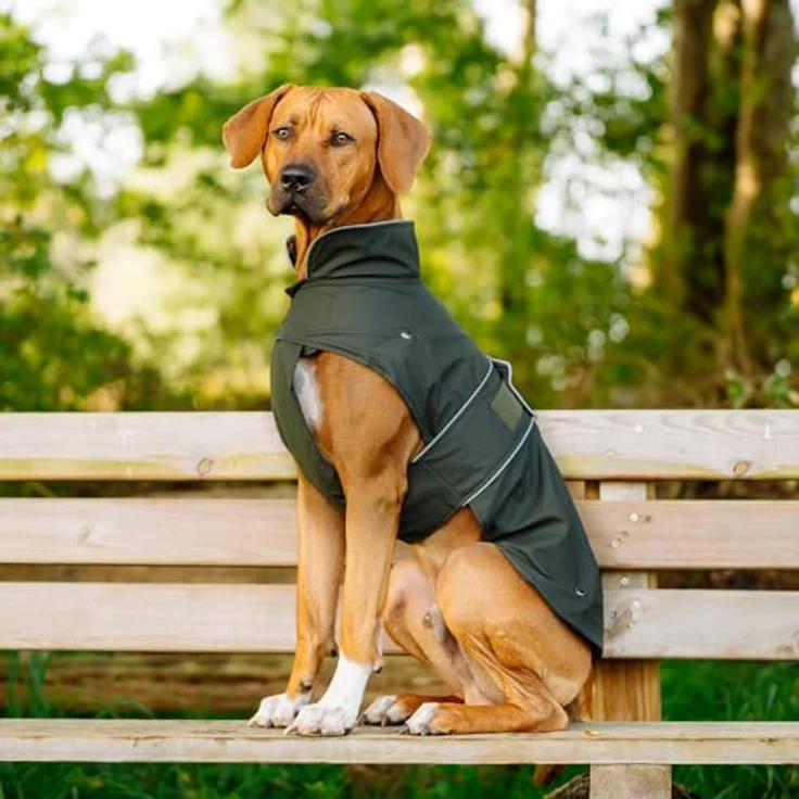 Nobby Hundemantel Sela, dunkelgrün, wasser- und windabweisend mit herausnehmbarem Fleecefutter und Reflektorstreifen – Bild 4